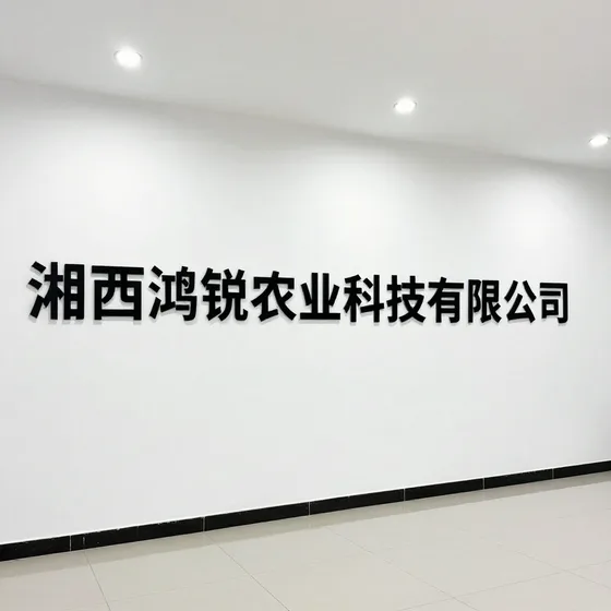 厦门素竺